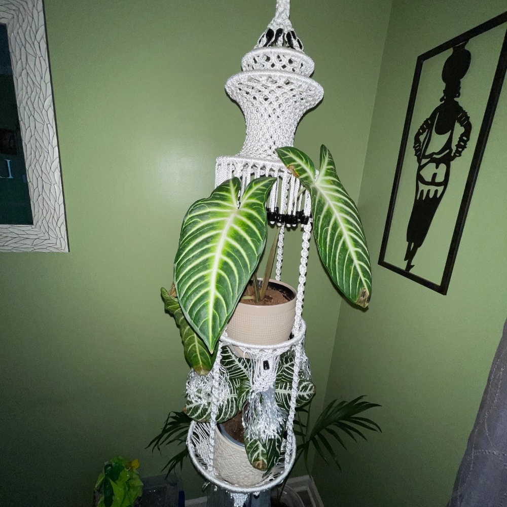 Handmade Macrame plant hanger